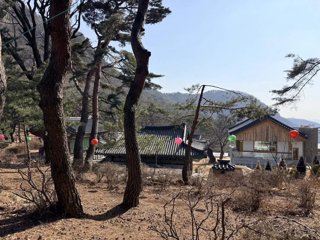 Traditional Korean temple nestled among ancient pine trees on Hoamsan Mountain