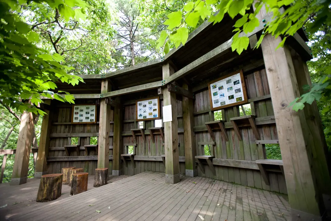 Wooden shelter structure at Woomen Mountain Nature Ecology Park Seoul