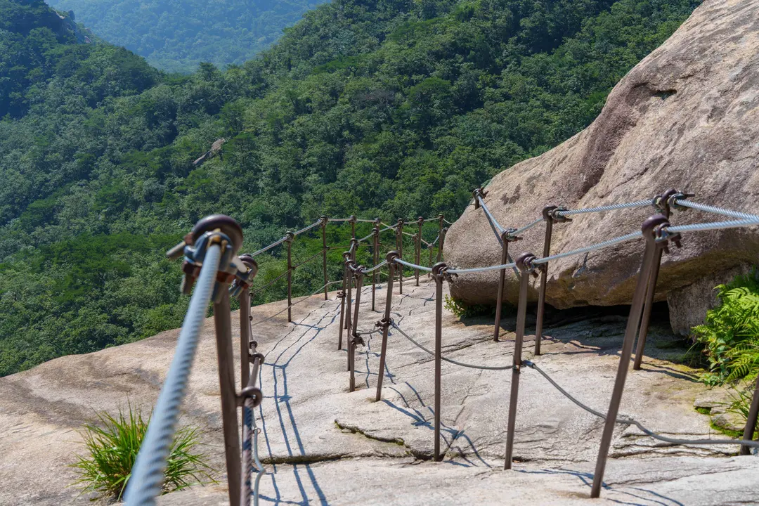 Steel cable safety railing along Baegundae rock wall trail with forested valley below