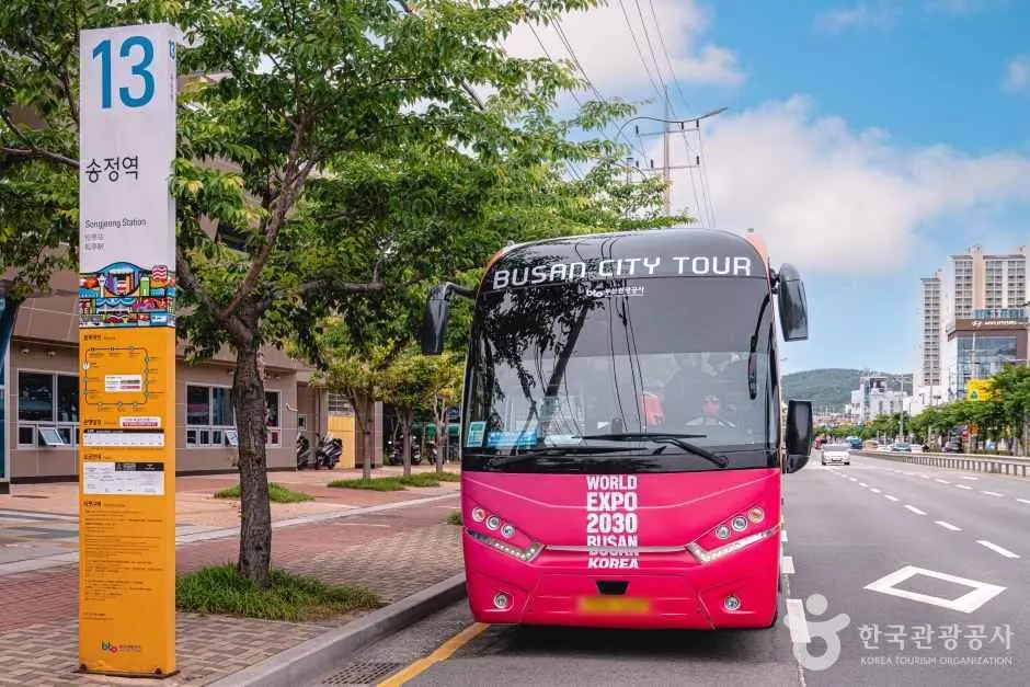 Pink and black Busan City Tour bus stopped at street level bus stop
