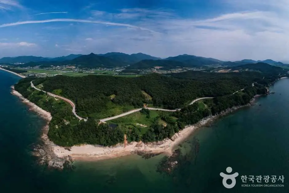 Aerial view of Byeonsanbando peninsula coastline with forested headland and curved road