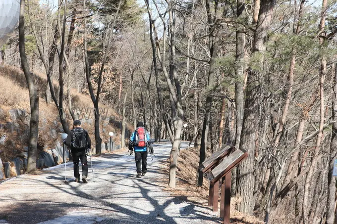 Hikers walking on Chilgapsan Mountain hiking trail through forested path