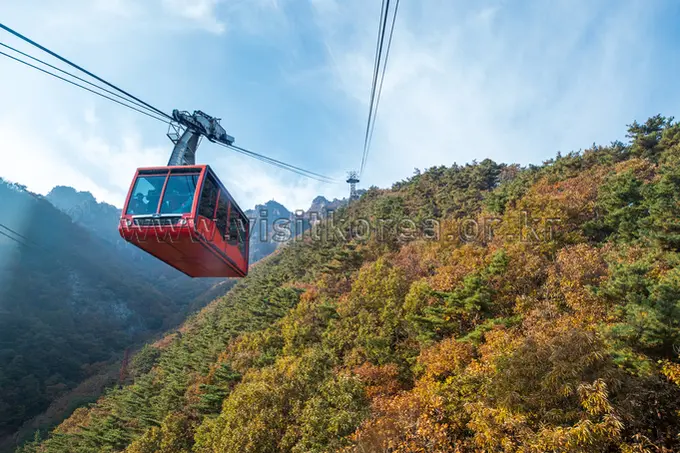 Red cable car cabin suspended over forested mountain slopes at Daedunsan