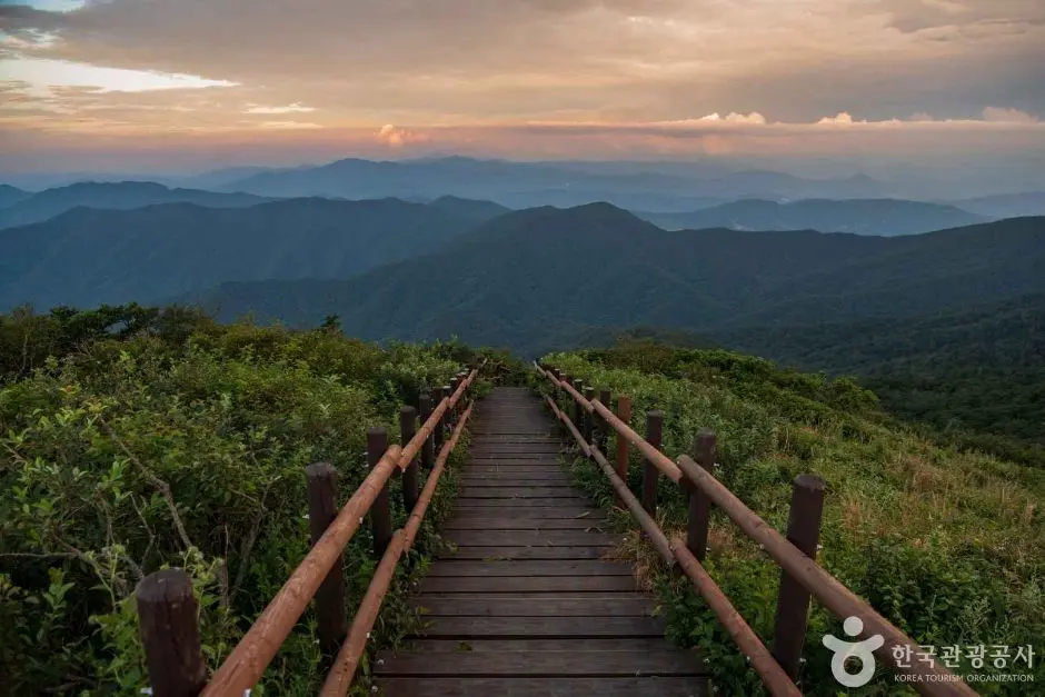 Wooden boardwalk trail with mountain ridges and sunset sky at Deogyusan