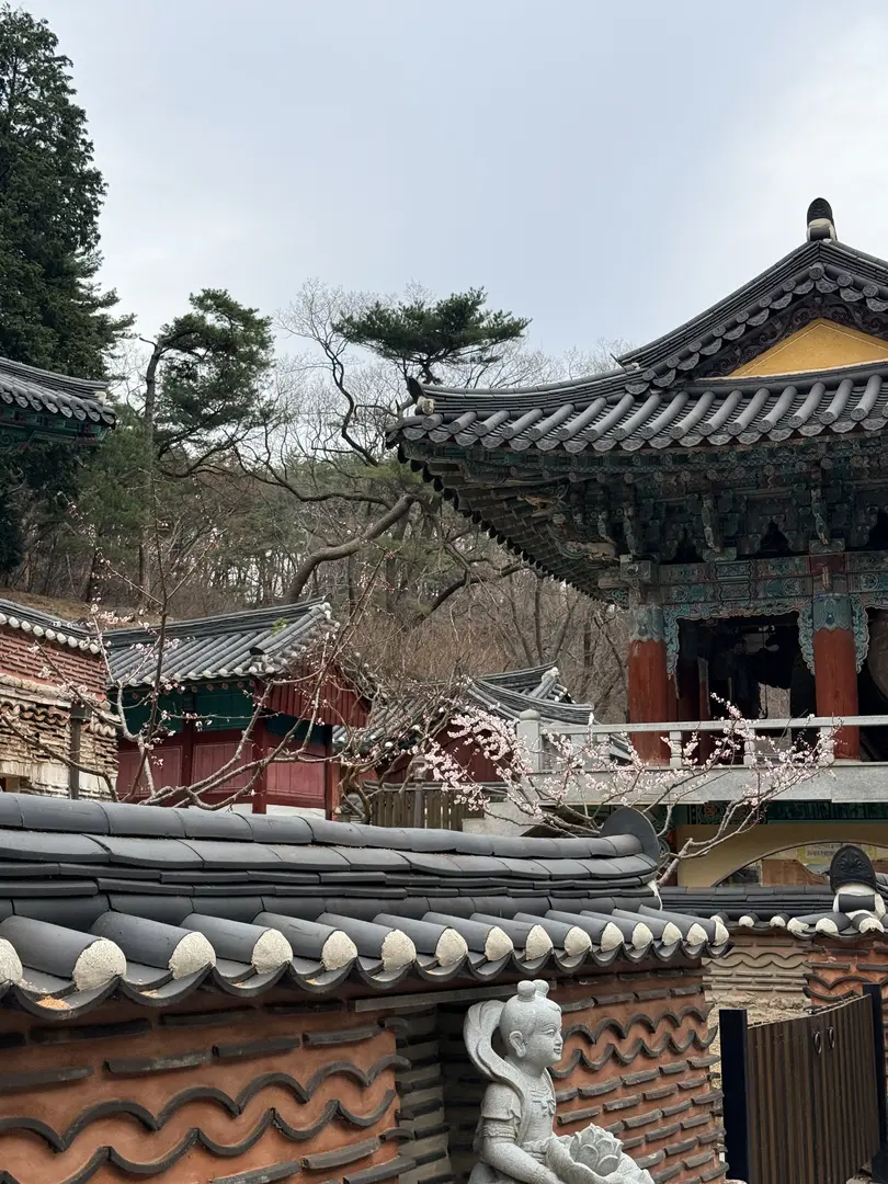 Traditional Korean temple complex with curved tile roofs and ancient architecture