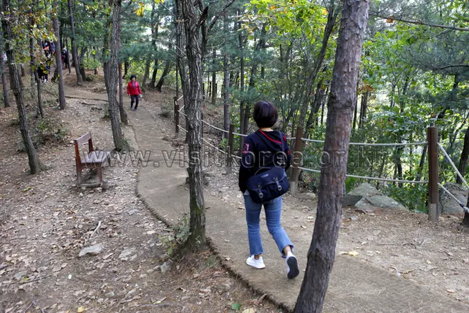 Hikers jogging on forested trail at Gamaksan mountain