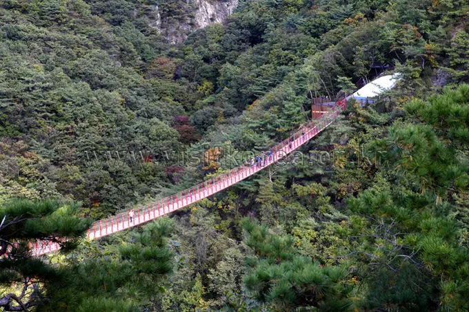 Red suspension bridge swaying through forested ravine on Gamaksan hiking trail