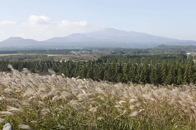 Panoramic summit view from Geum Oreum showing forested valleys and distant mountains