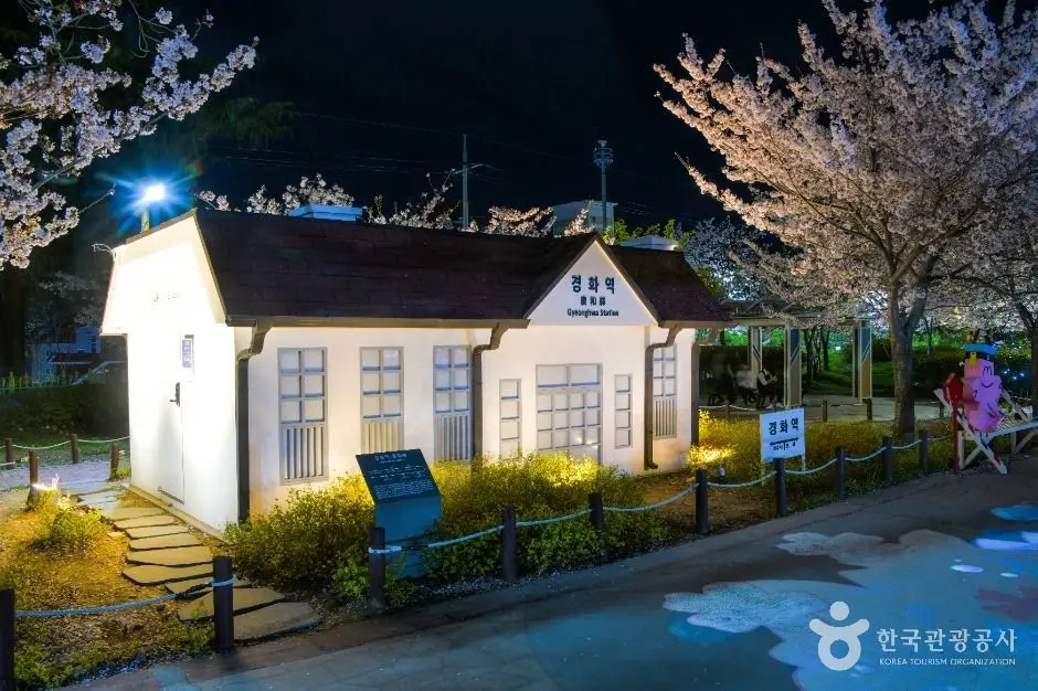 Illuminated white station building surrounded by blooming cherry blossom trees at night