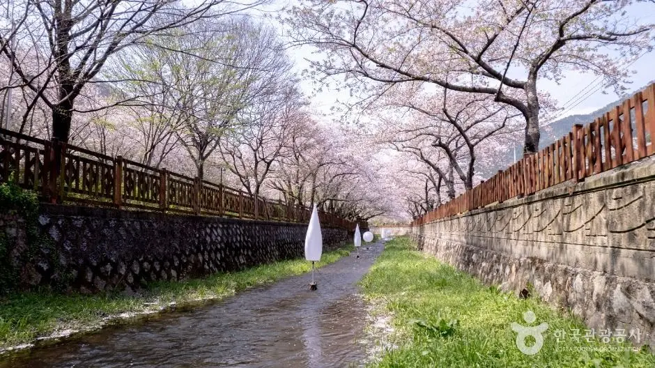 Canal path with bare trees at Gunhang military port area during spring