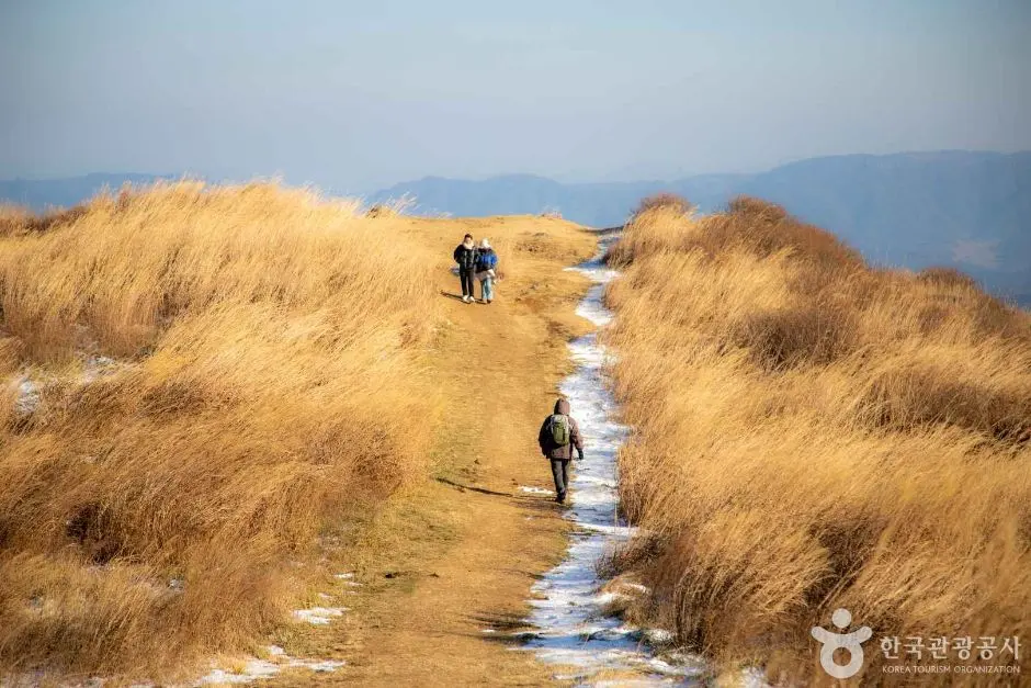 Hikers on golden grass trail at Hwangmaesan Mountain with distant valley views