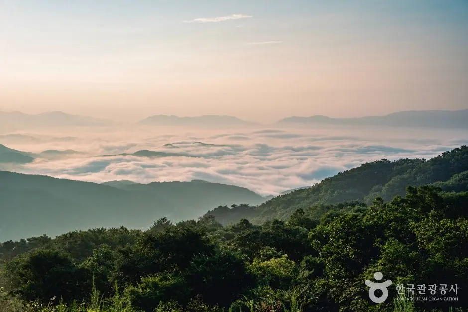 Hwangmaesan mountain peak sea of clouds sunrise vista