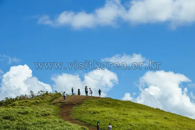 Hikers standing on grassy Saebyeol Oreum summit under blue sky
