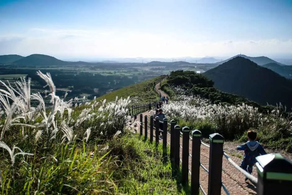 Hiker on Saebyeol Oreum trail with valley vista below