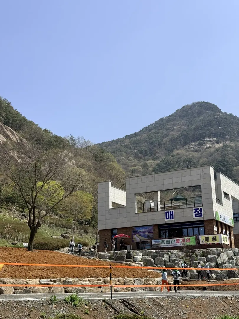 Modern angular visitor center building nestled against forested mountain backdrop