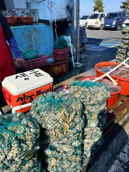 Large pile of fresh oysters in green mesh bags stacked outside Chinguné Gul Susan, with orange plastic tubs and a white cooler labeled 생굴판매 (fresh oysters for sale) in the foreground