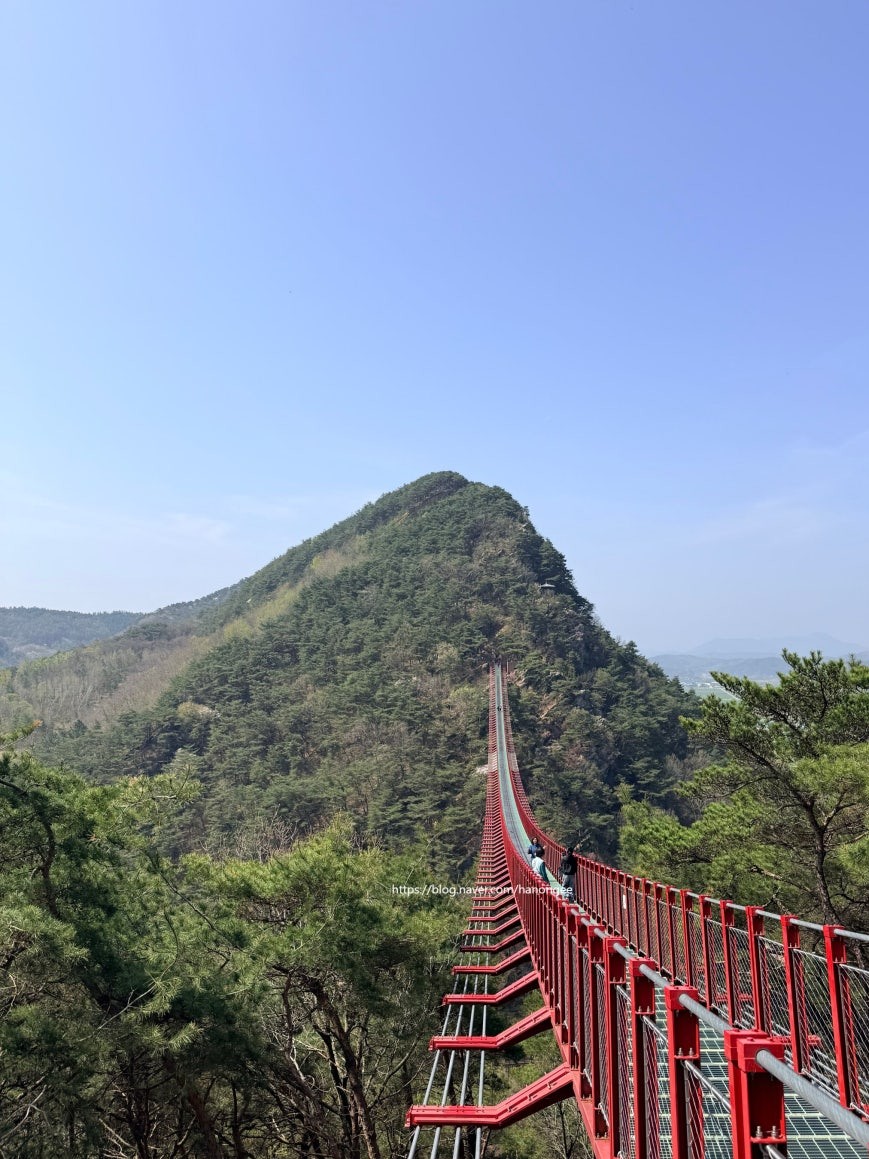 View along the full length of Chaegyesan Suspension Bridge from the entrance end, red steel railings converging toward a forested mountain peak, pine trees on both sides under clear blue sky