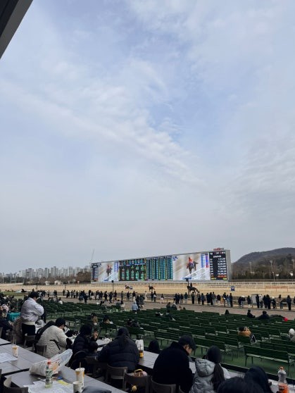 View from indoor seating area at Let's Run Park Seoul over the wide dirt race track, with a large LED scoreboard across the track displaying race data and apartment buildings in the background