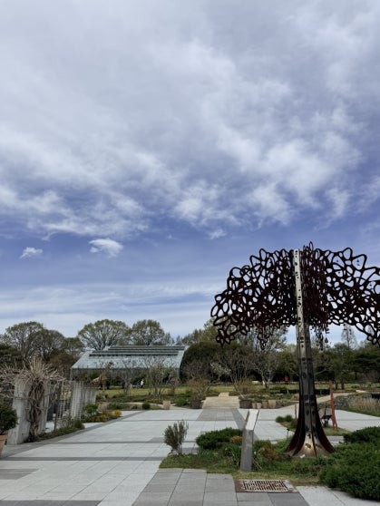 Wide stone-paved plaza at Jeonju Arboretum with a tall abstract metal tree sculpture featuring perforated lacework branches against a dramatic cloudy sky, glass greenhouse structure visible in the right background