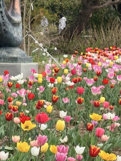 Dense spring tulip field at Jeonju Arboretum with mixed blooms in red, yellow, white, pink, and bi-color varieties in full flower, partial view of a stone or bronze sculpture on the left edge, and bare-branch trees in the background
