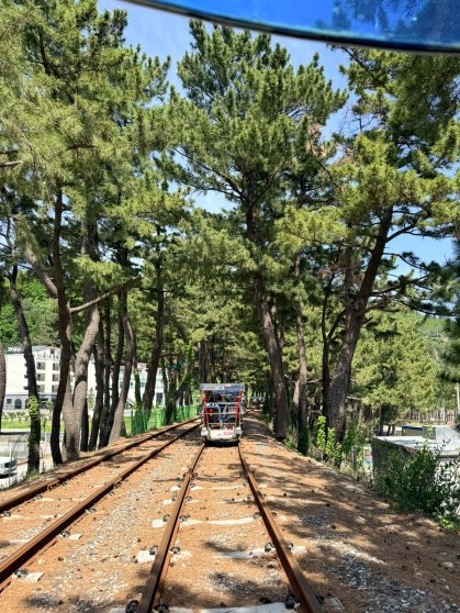 View from inside a rail bike looking ahead down rusty tracks through a sunlit pine tree canopy, another bike visible in the distance