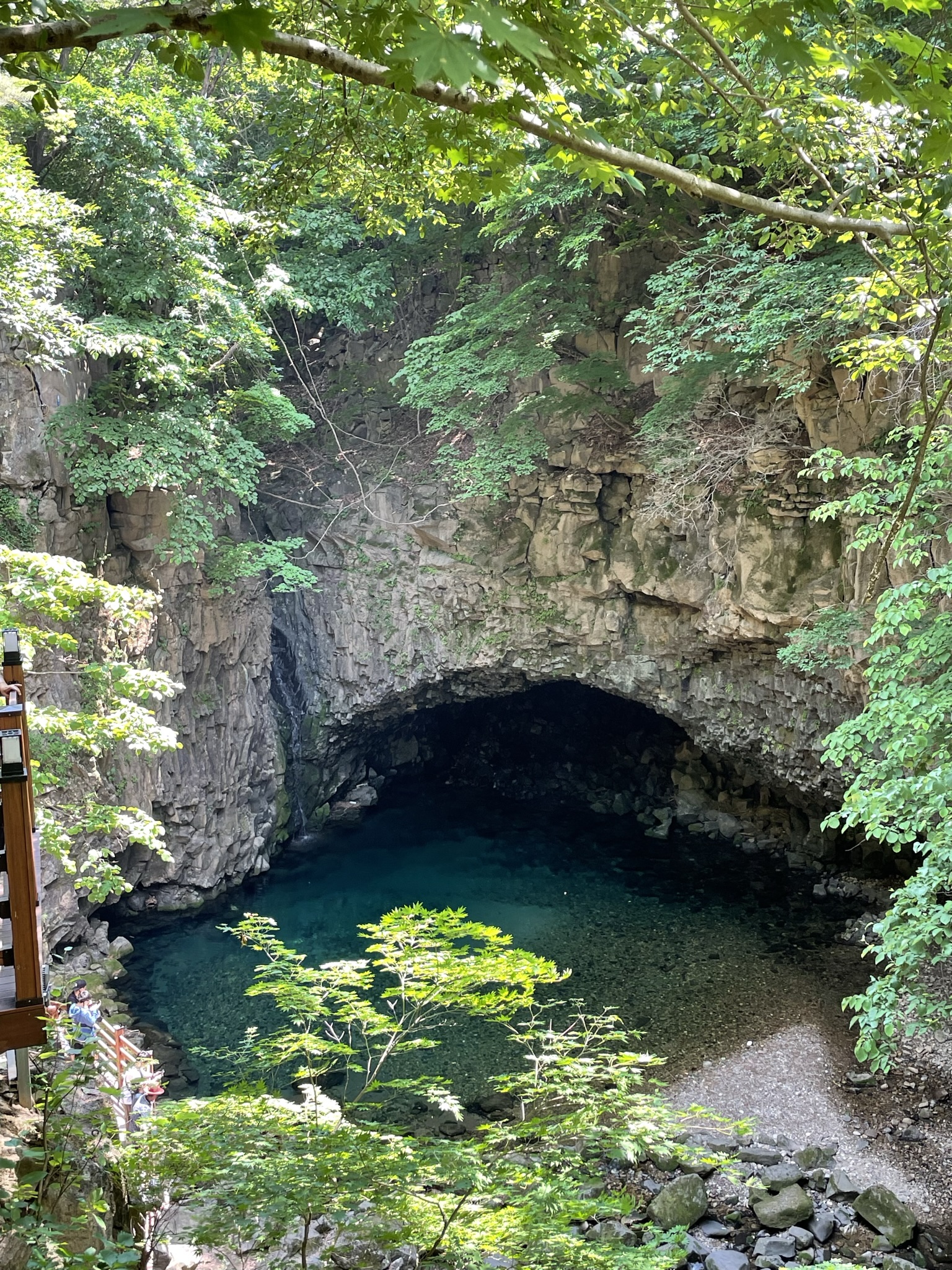 Arched rock cave opening above a turquoise plunge pool surrounded by dense green summer foliage, Pocheon, South Korea