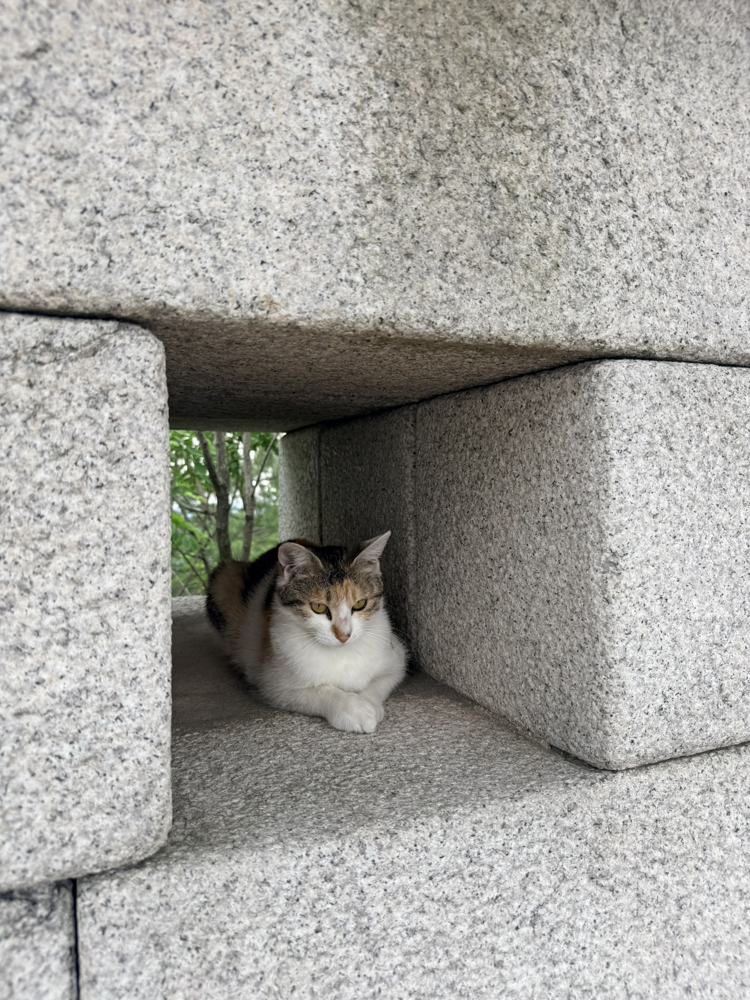 Calico cat with tortoiseshell markings sheltering inside a rectangular embrasure slot in the Hanyangdoseong granite fortress wall on Inwangsan, stone walls framing it on three sides